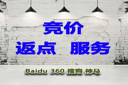 案例分析：竞价代运营如何实现精准用户定位