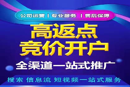 百度推广竞价全解析：某电商平台的营销策略
